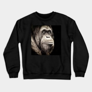 Orangutan Me? Crewneck Sweatshirt